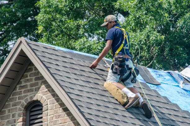Best New Roof Installation  in Agler Estates, FL